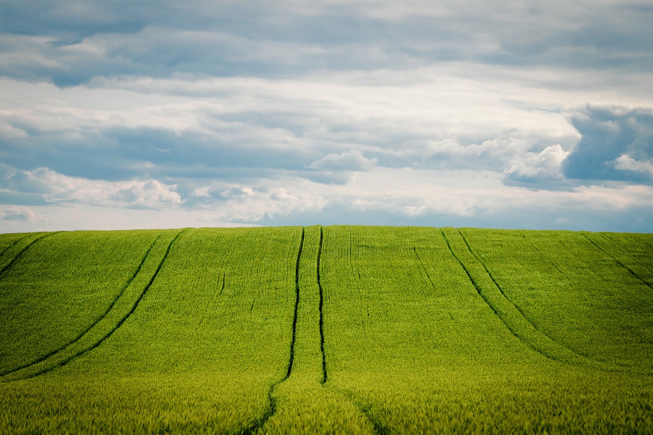 The Effect of Climate Change on Food Prices